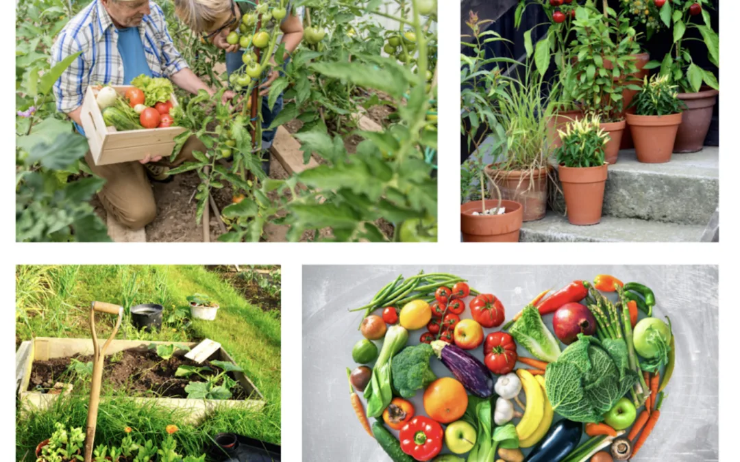 Taking Advantage of a Warm Growing Season: Unlocking Health Benefits of Growing an Organic Garden