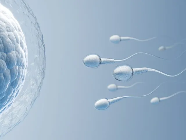 When Sperm Counts Fall Short: A Natural Solution for Male Infertility at Acupuncture & Wellness Clinic