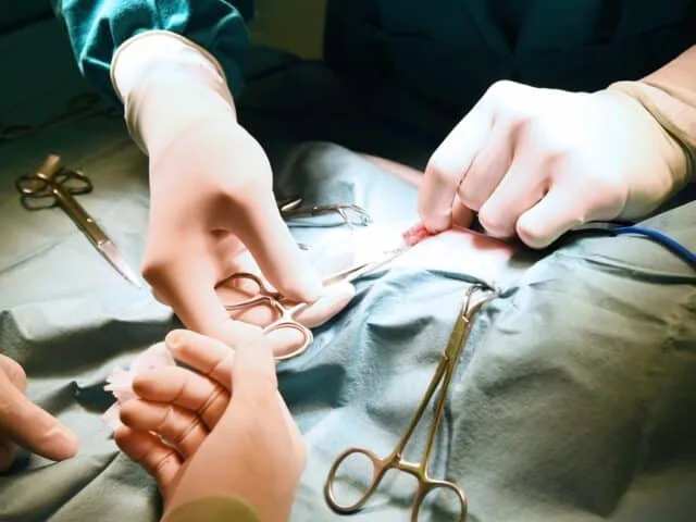 When Surgery Fails: Natural Healing for Failed Back & Shoulder Procedures at Acupuncture & Wellness Clinic